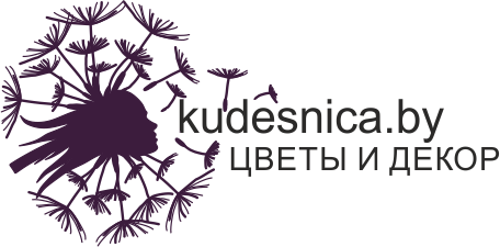 Kudesnica.by - купить живые цветы, букеты в Минске с доставкой