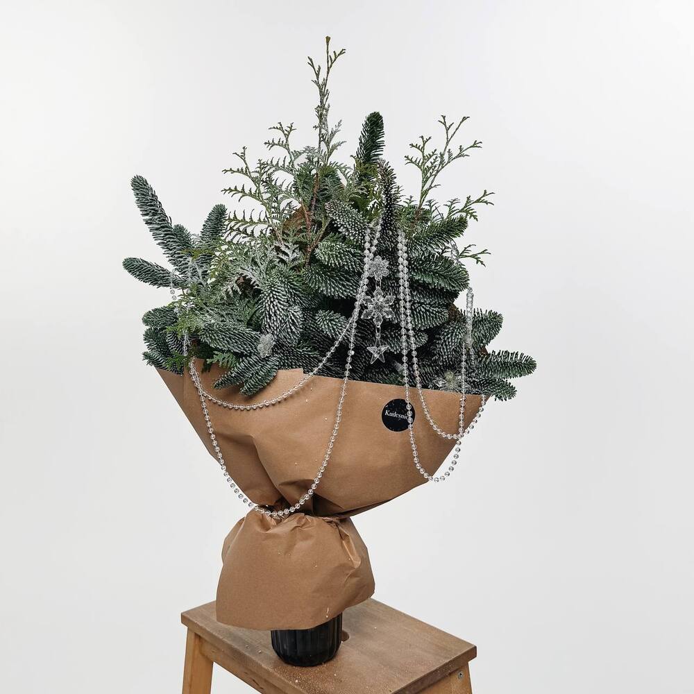 Новогодний сет 