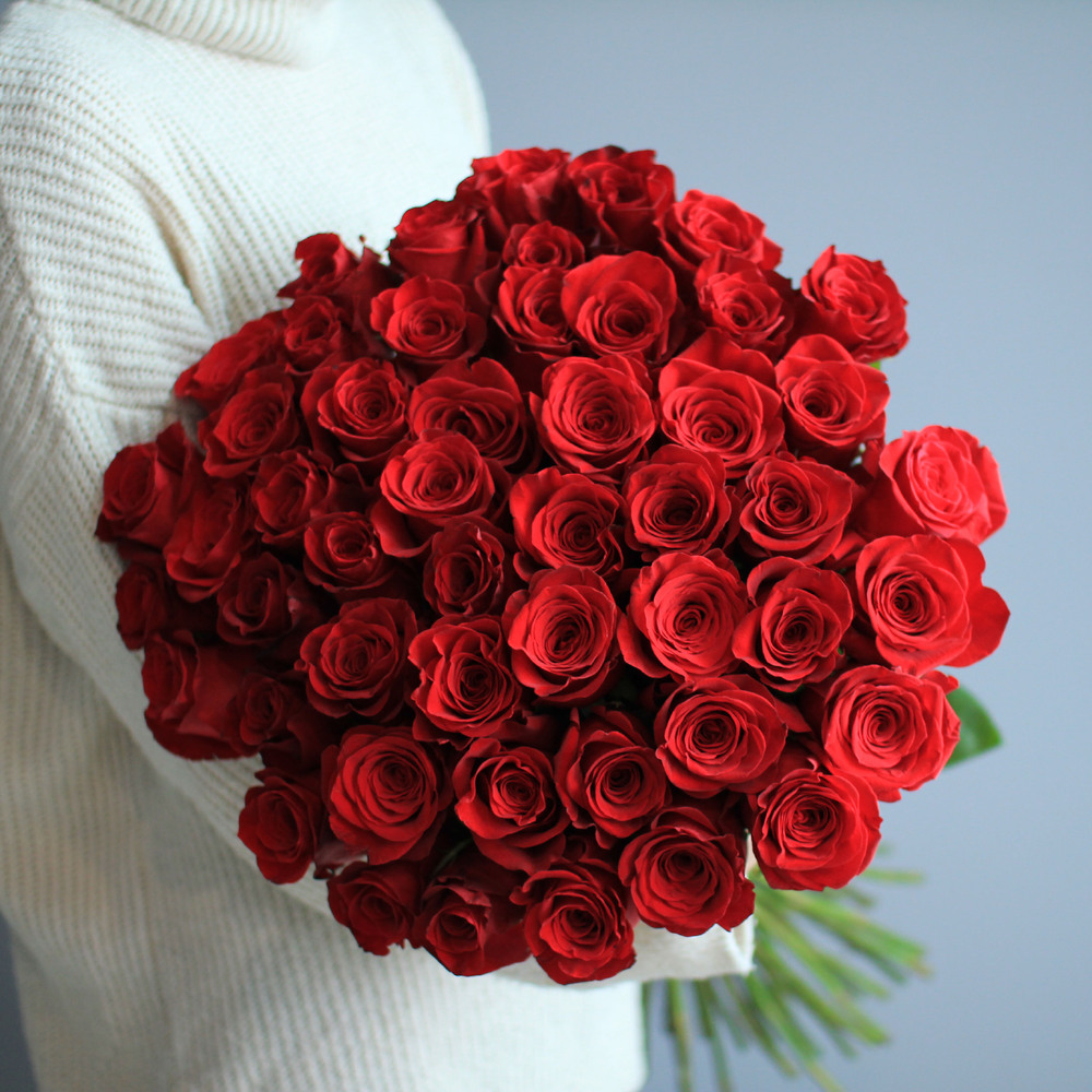 Роза Фридом (Freedom)