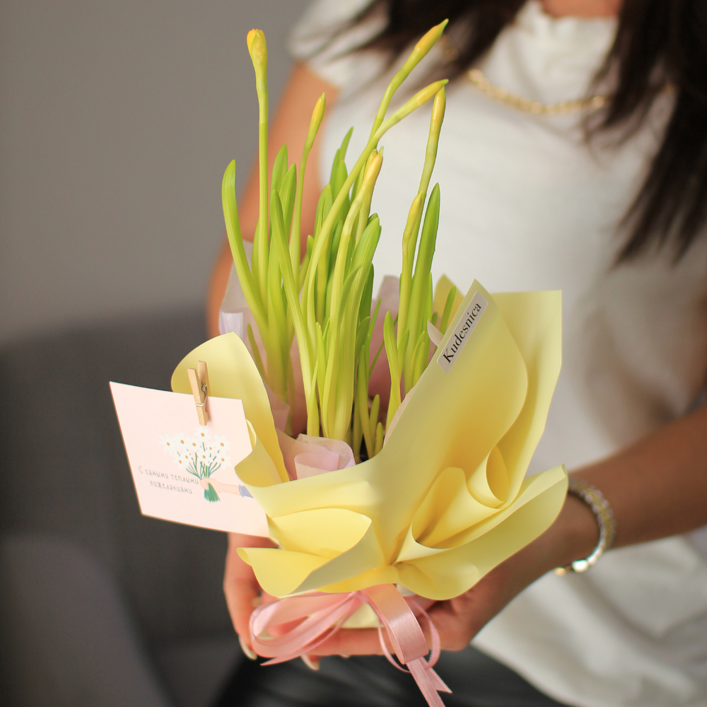 Нарцисс мини