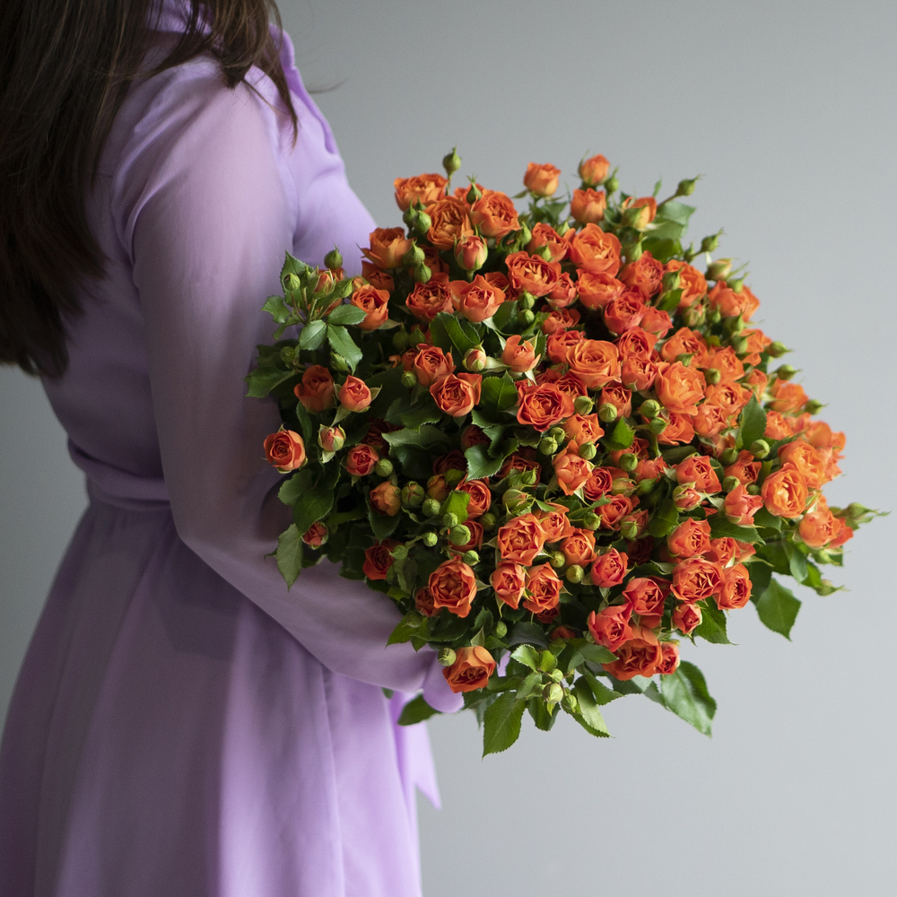 Роза кустовая Summer Dance